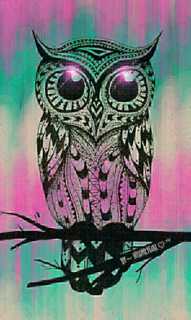 Owl