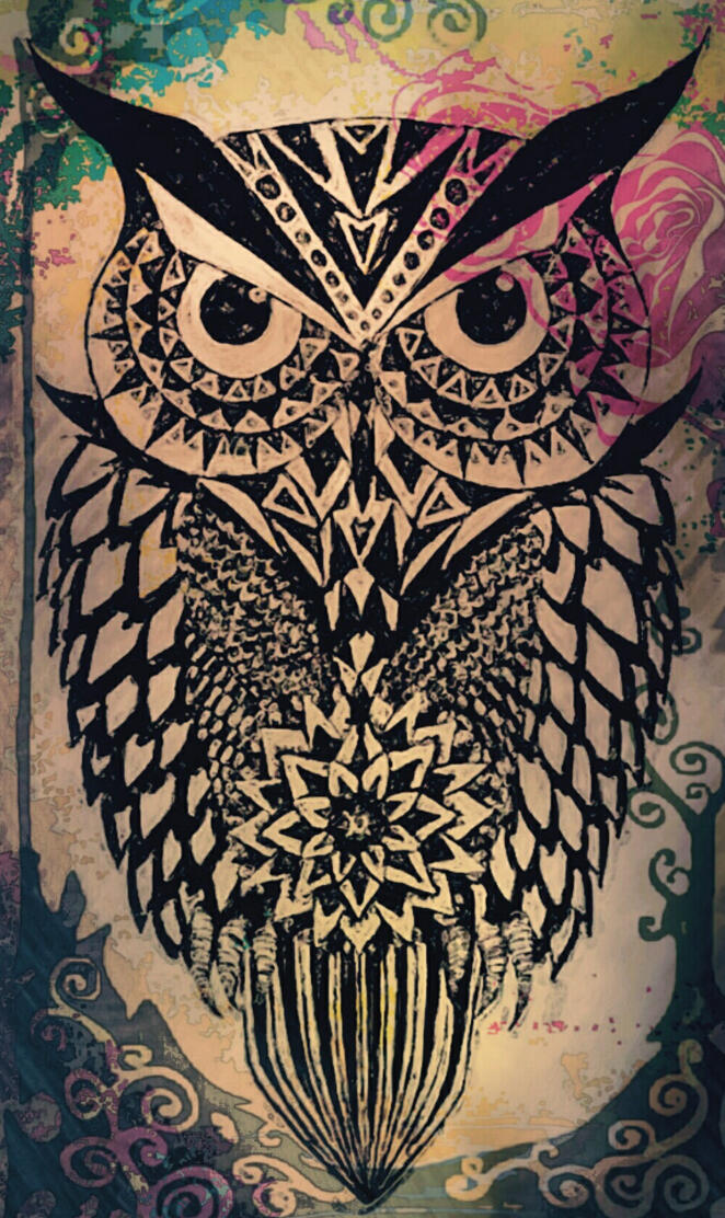 Owl