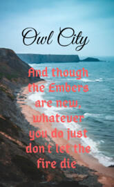 Owl City