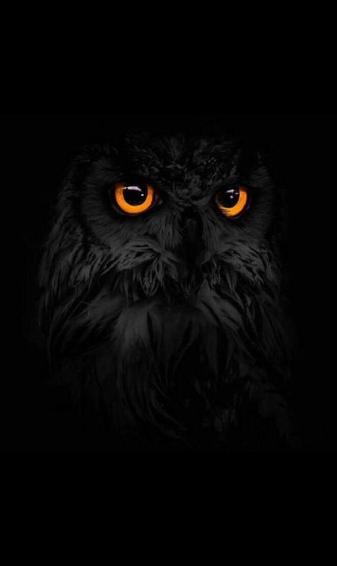 Abdelrahman Mohammed