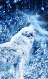 Howling in the Snow