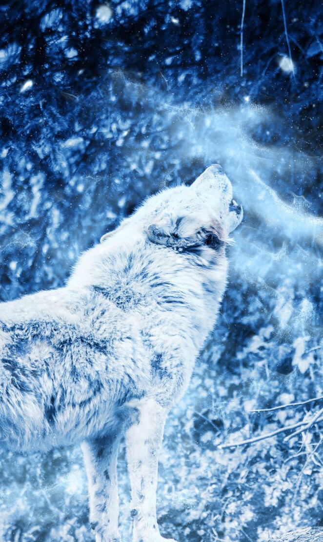 Howling in the Snow