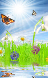 Beautiful spring moo