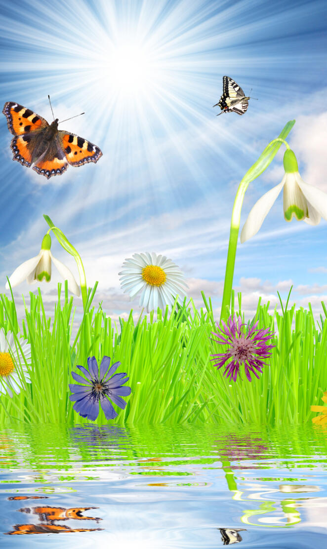 Beautiful spring moo