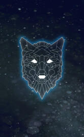 Wolf abstract