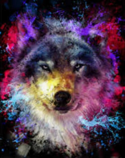 Wolf fun art
