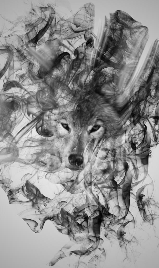Flowy Wolf Art