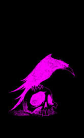 Pink Raven on Skull