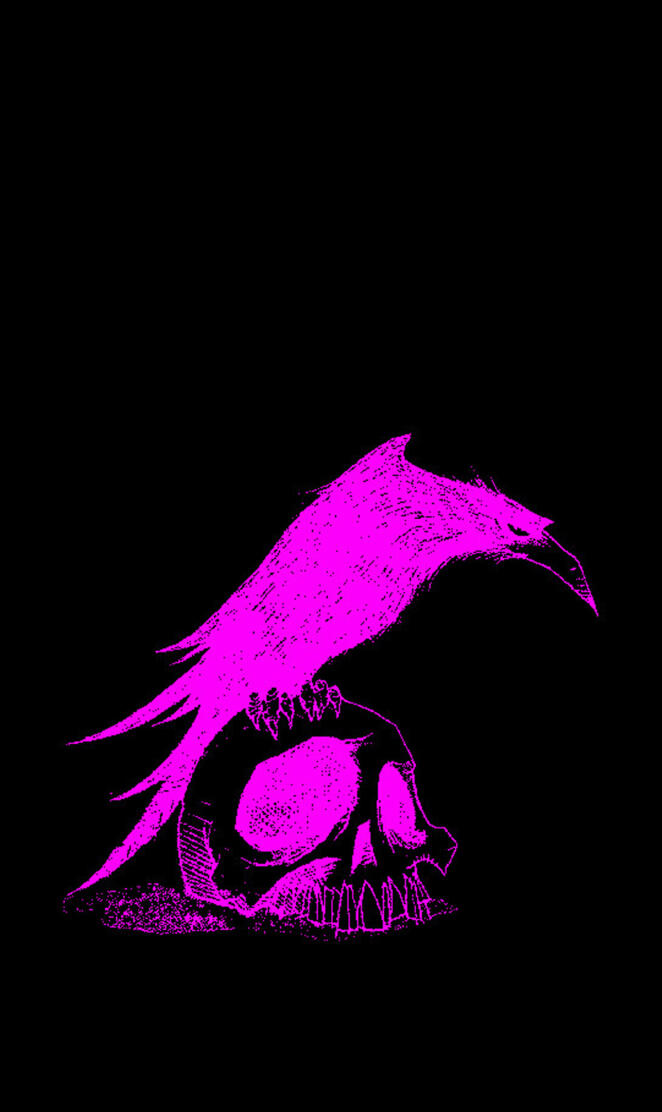 Pink Raven on Skull