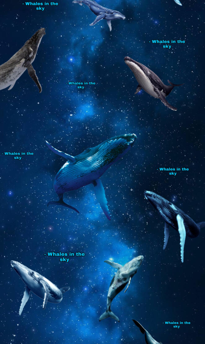 Whales