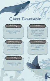 Class Timetable