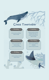 Whale timetable