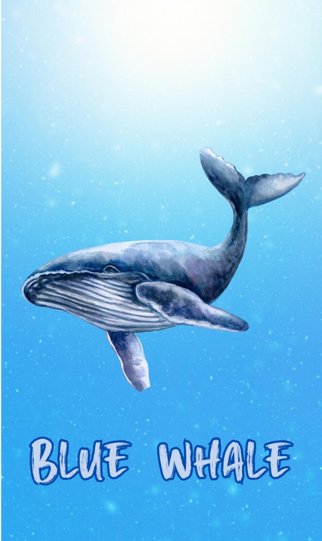 Blue whale
