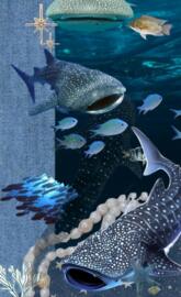 Whale sharks