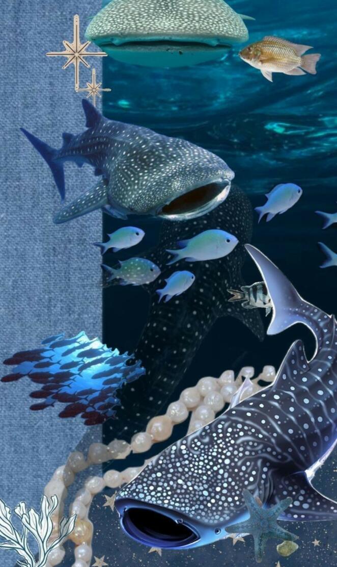 Whale sharks