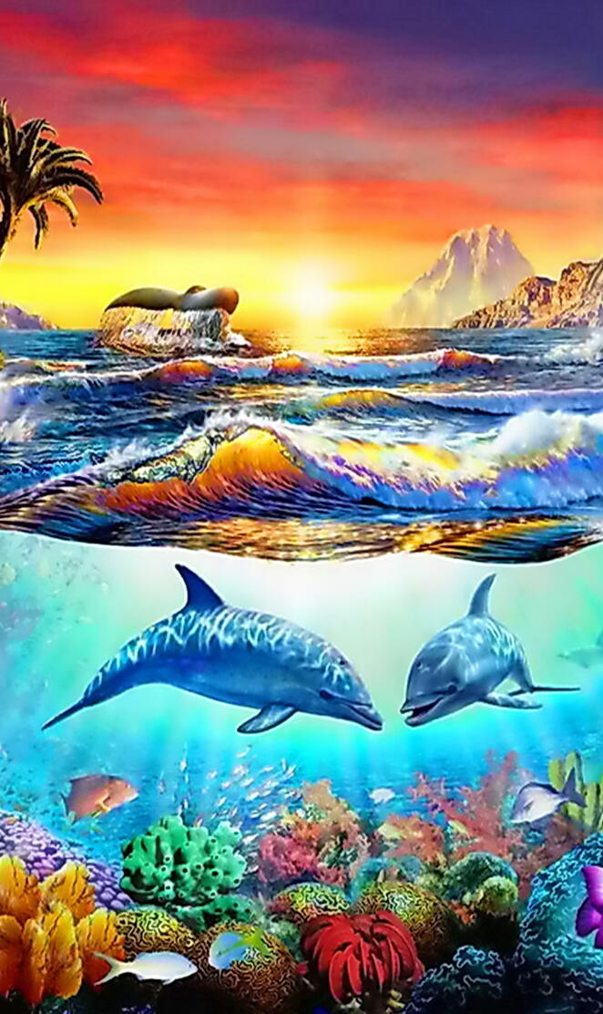 Dolphins Paradise