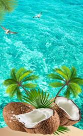 Coconut Splash