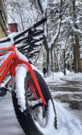 snow bicycle