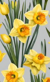 Daffodil Delight: A Spring Symphony