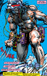 Weapon-x