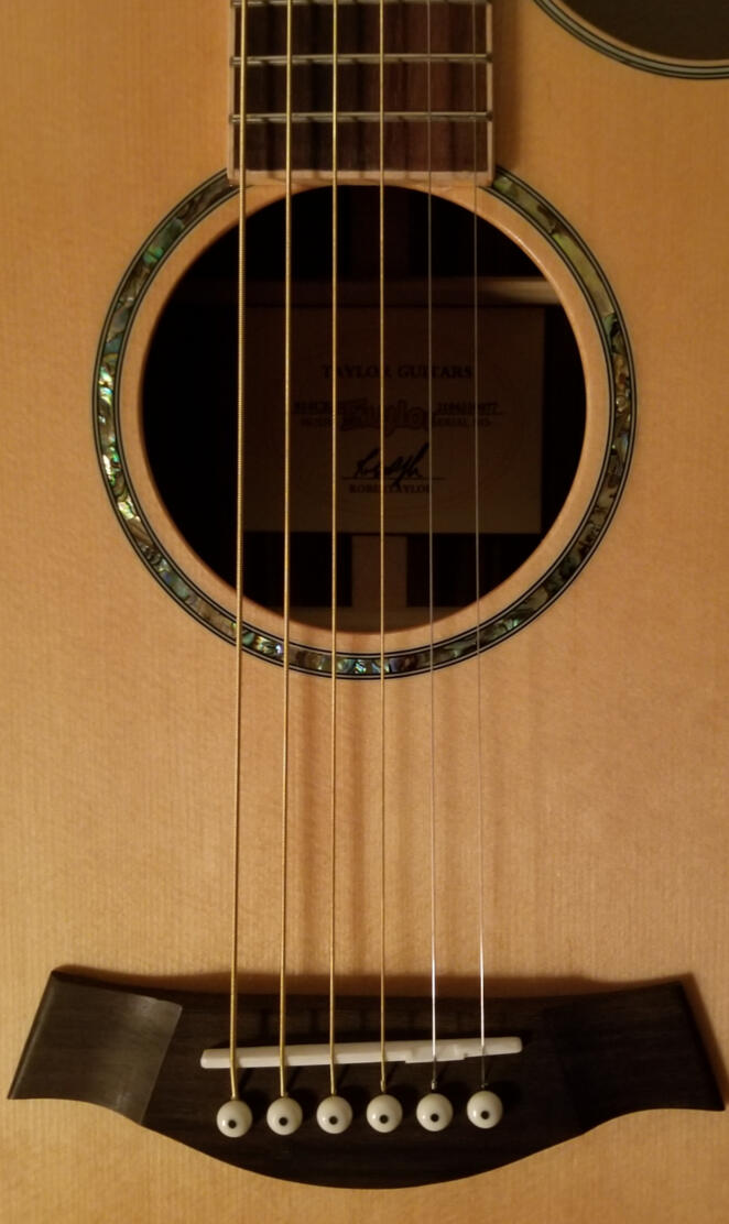 Taylor Guitar