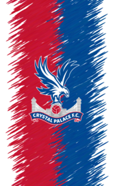 Crystal palace fc