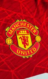 Manchester united badge