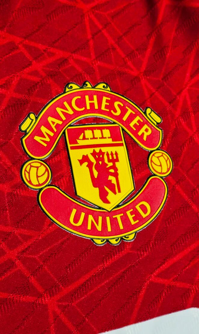 Manchester united badge