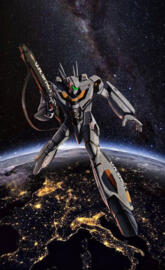 Robotech1