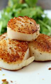 Scallops