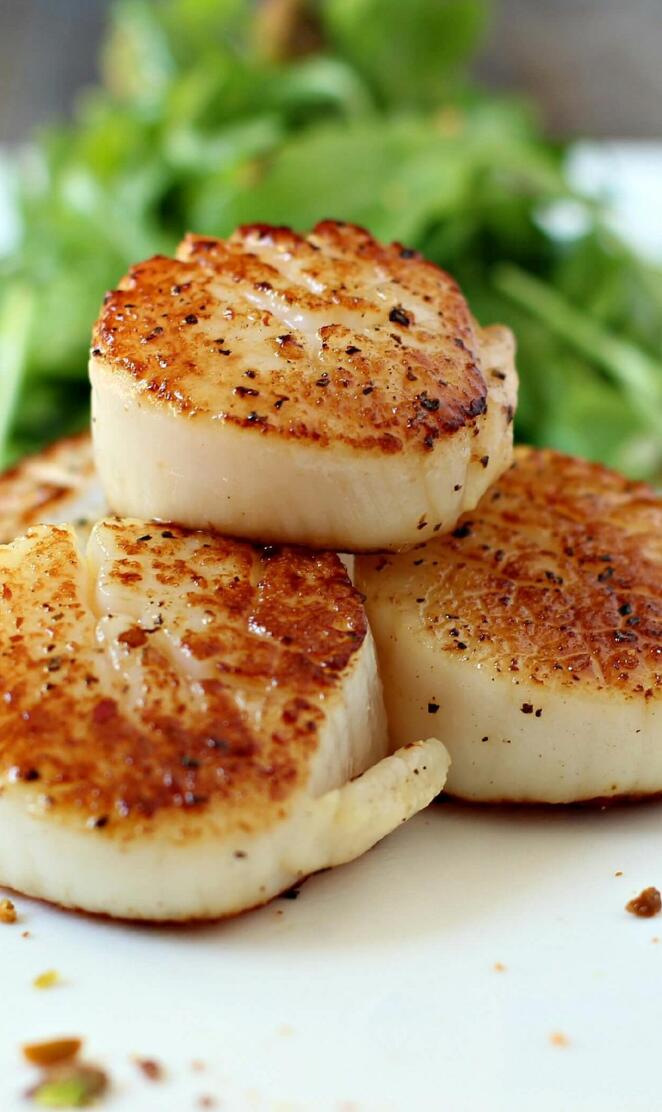 Scallops