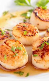 Scallops