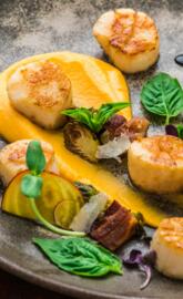 Scallops