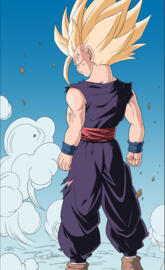 Gohan in the wind