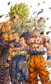 Goku broly vegita gohan piccolo