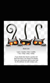 Black Cats