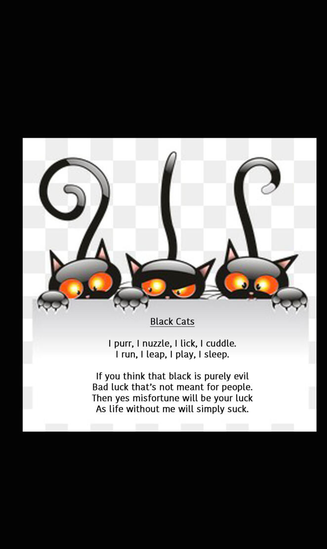 Black Cats