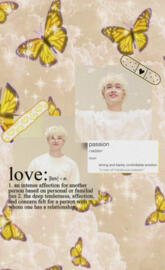 Bang Chan Stray Kids