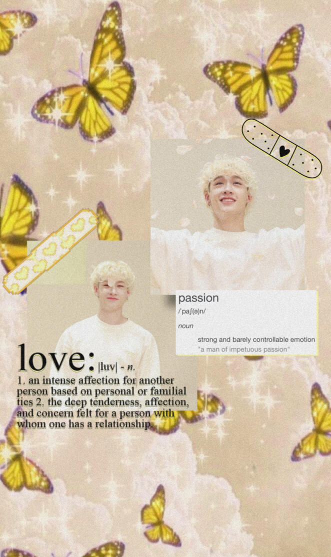 Bang Chan Stray Kids