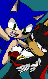 Sonic & Shadow