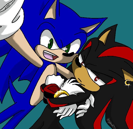 Sonic & Shadow
