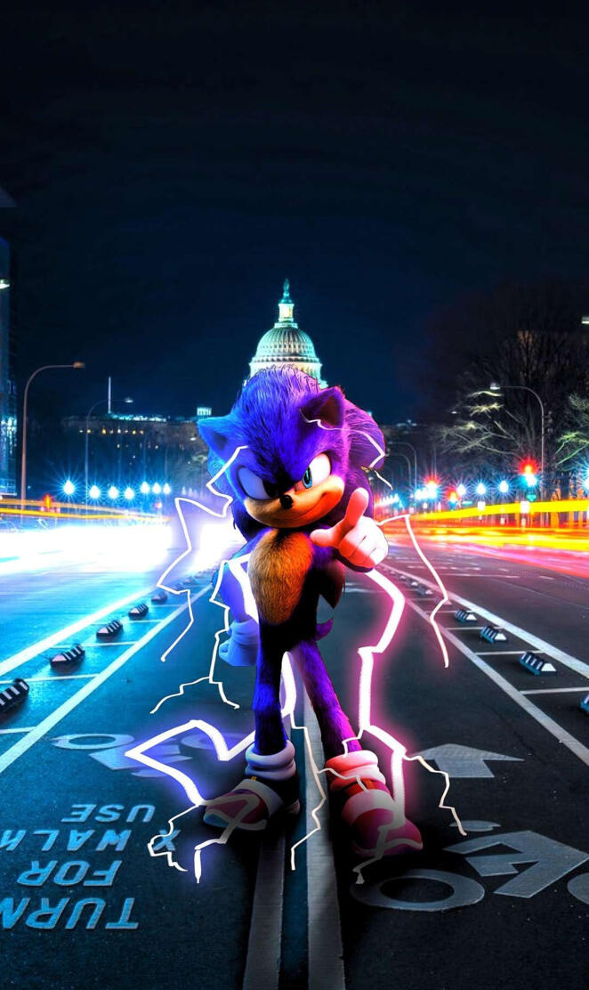 Sonic the hedgehog