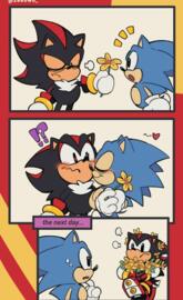 Sonadow Mini-Comic 🐾