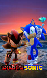 Sonic and Shadow beach sunset