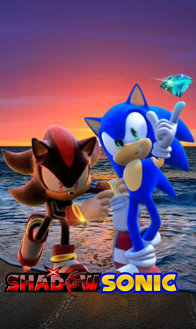 Sonic and Shadow beach sunset