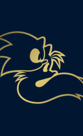 Sonic The Hedgehog 2