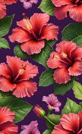 hibiscus blooms