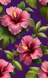 hibiscus blooms