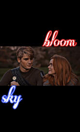 Bloom and sky