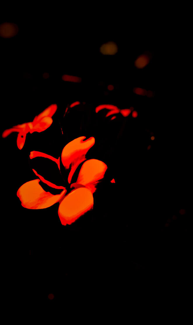 Abstract is in Bloom